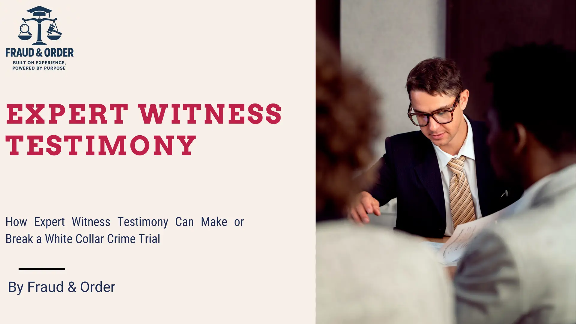 Expert Witness Testimony