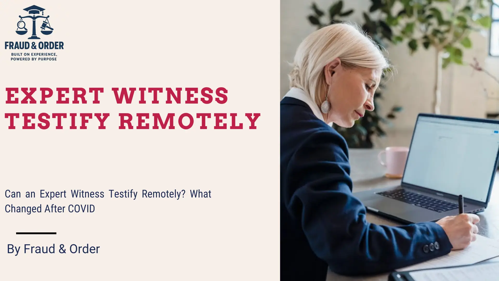 expert witness testify remotely