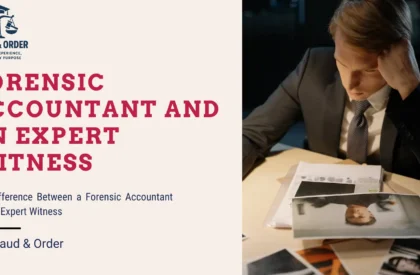 forensic accountant vs expert witness