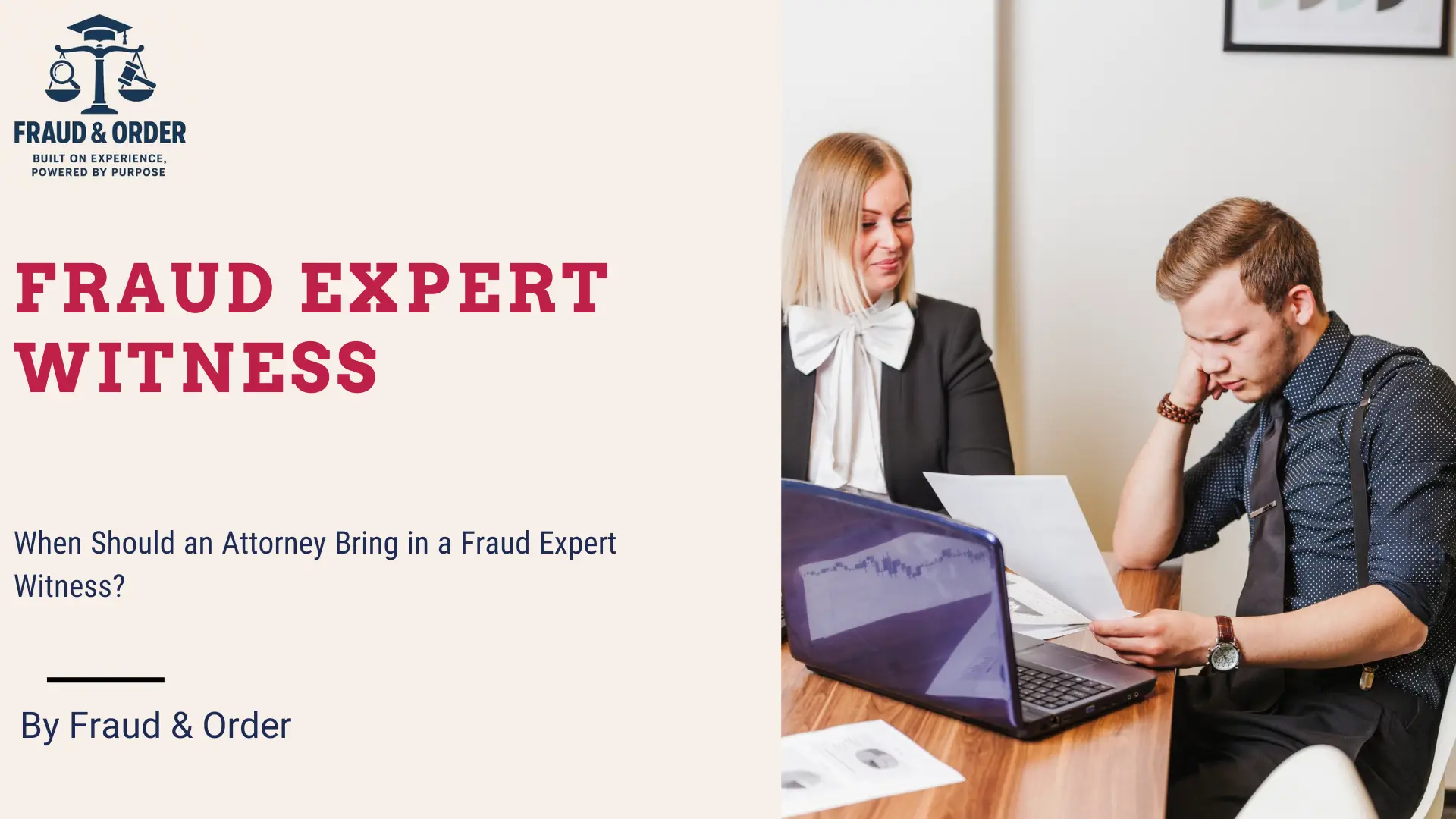 Fraud Expert Witness